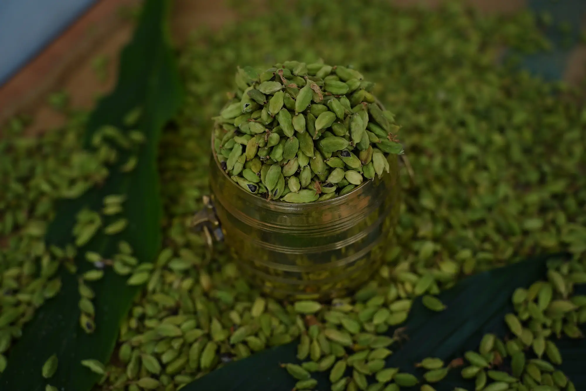 Cardamom